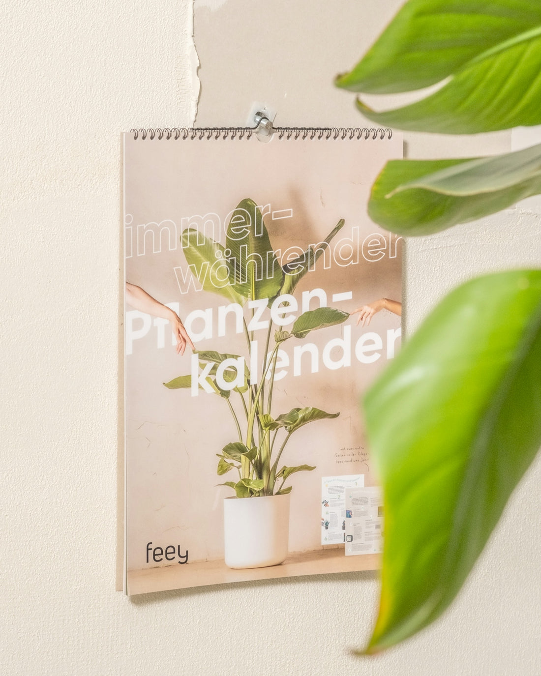 a magazine with a plant on the cover